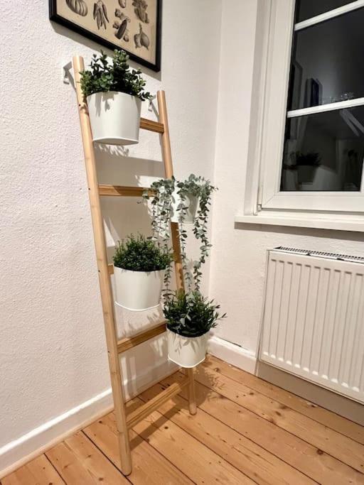 Stadtoase Design In Der Altstadt Von Koblenz *