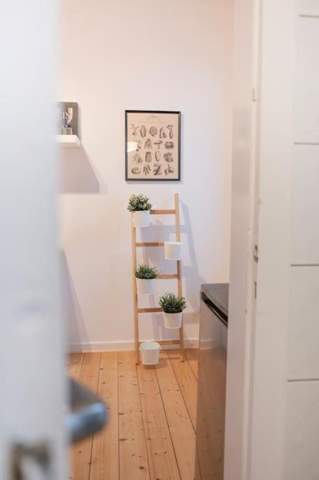 Stadtoase Design In Der Altstadt Von Koblenz Apartament Koblencja